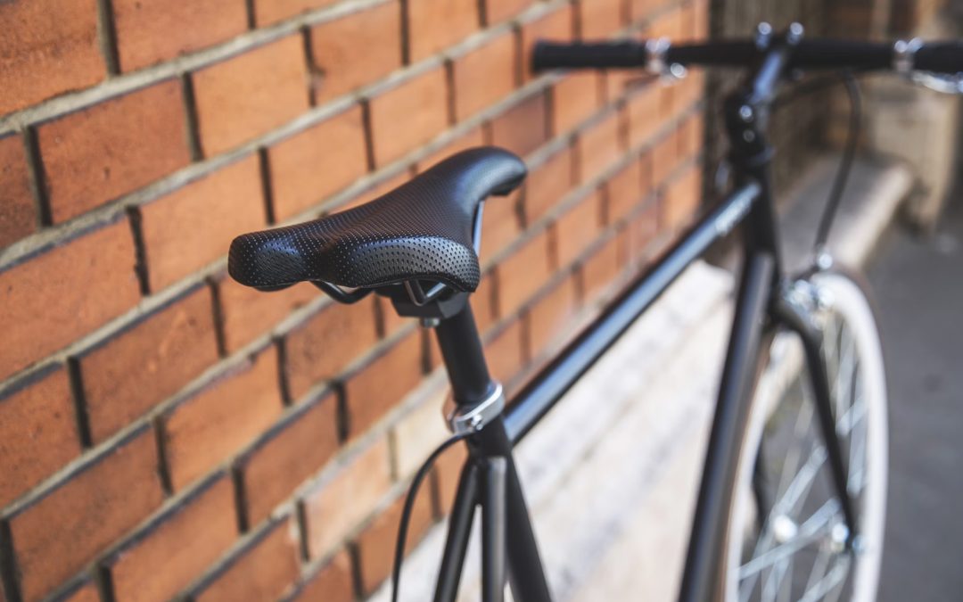 Wat is beter: Batavus of Gazelle?