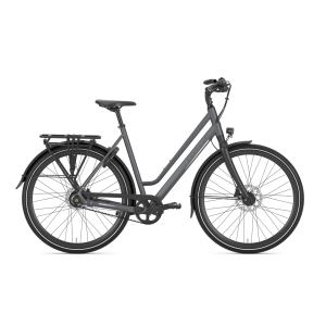 Gazelle Chamonix S11 lage instap 2024