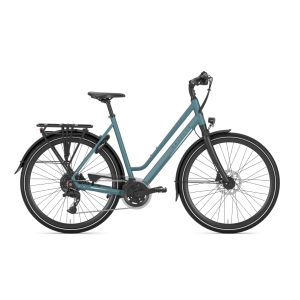 Gazelle Chamonix T20 Lage instap 2024