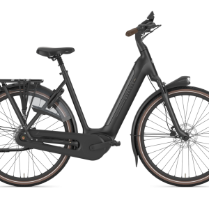 Gazelle GRENOBLE C8+ HMB Lage Instap