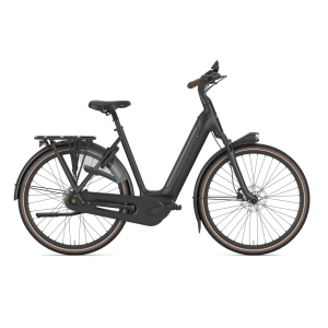 Gazelle GRENOBLE C8+ HMB Lage Instap