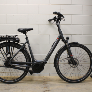 Pegasus Ravenna E8F 55cm 400wh 2022 17094km