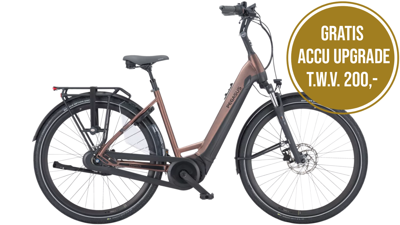 Pegasus Ravenna EVO 7F Disc lage instap