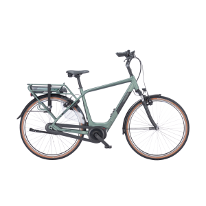 Pegasus Siena E7F Heren